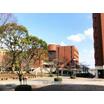 大学