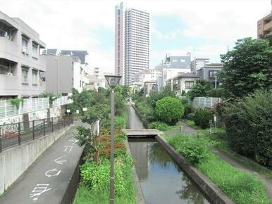 古石場川親水公園