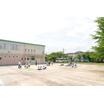 幼稚園、保育園