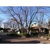 公園