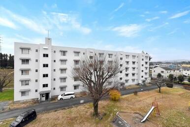 ビレッジハウスの同一物件・同一タイプの間取りの写真です