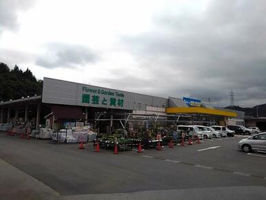 綿半ホームエイド都留店