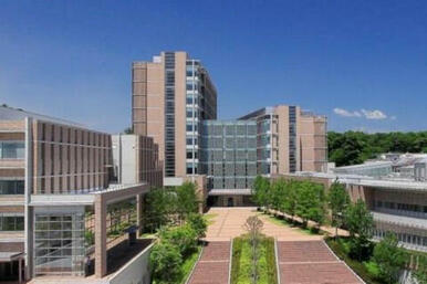 東北医科薬科大学小松島キャンパス