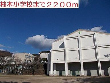 柚木小学校