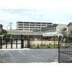 幼稚園、保育園