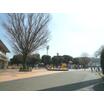 公園