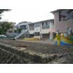 幼稚園、保育園