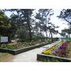 公園