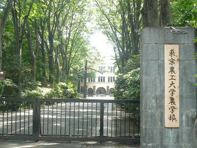 東京農工大学農学部