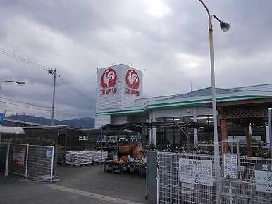 コメリハード＆グリーン市場店