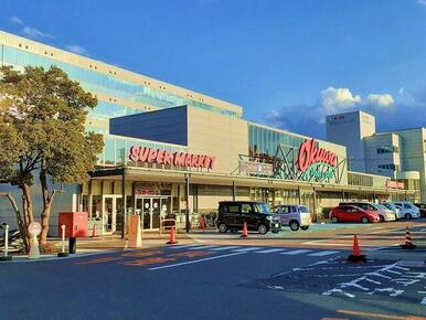 オークワ本社中島店様