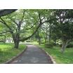 公園