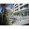 幼稚園、保育園