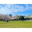 公園
