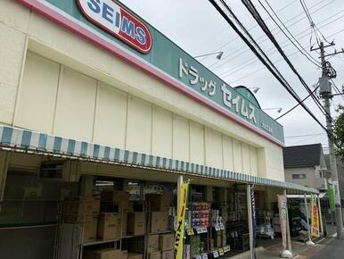 ドラッグセイムス 太田窪店