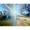 公園