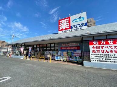 ウエルシア越谷登戸店：約820ｍ