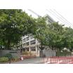 中学校