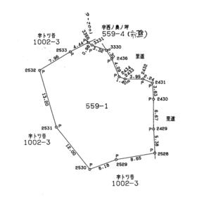 地形図等