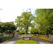 公園
