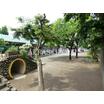 幼稚園、保育園