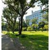 公園