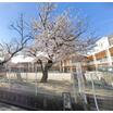 幼稚園、保育園