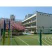 小学校