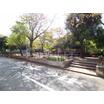 公園