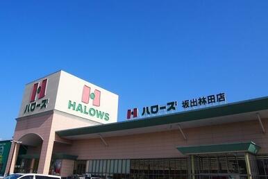 ハローズ坂出林田店