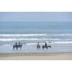 周辺環境