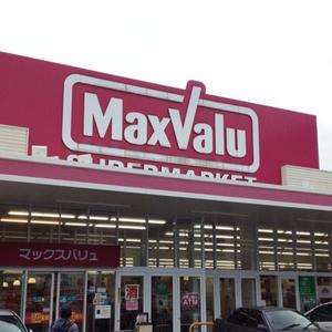 マックスバリュ吉井店