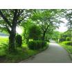 公園