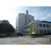 大学