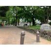 公園
