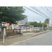 幼稚園、保育園