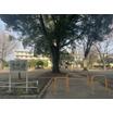 公園