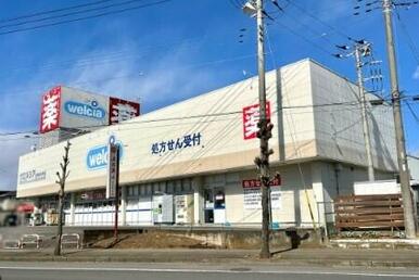 ウエルシア坂東岩井本町店