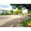 公園