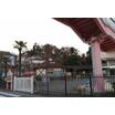 幼稚園、保育園