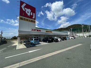 スギ薬局御津店