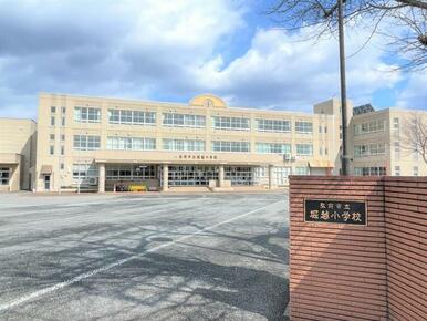 堀越小学校
