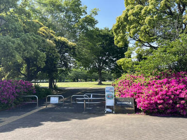 さむかわ中央公園