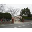 幼稚園、保育園