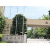 大学