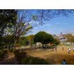 公園