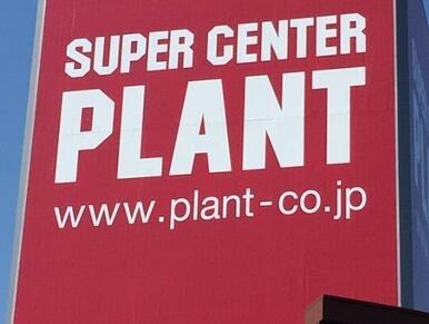コスモス田村店