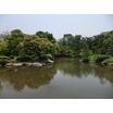 公園