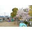 幼稚園、保育園