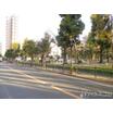 公園
